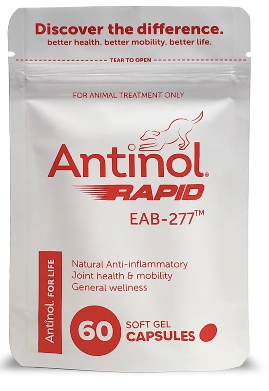 Antinol Rapid