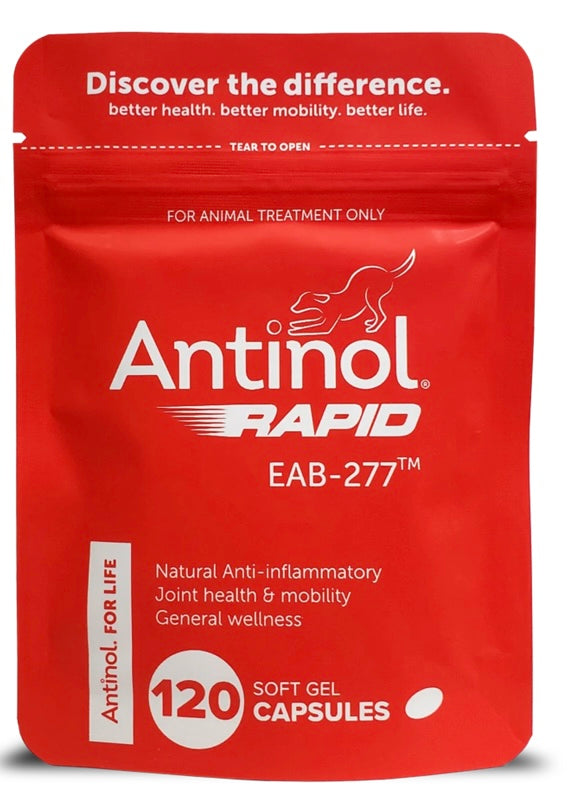 Antinol Rapid